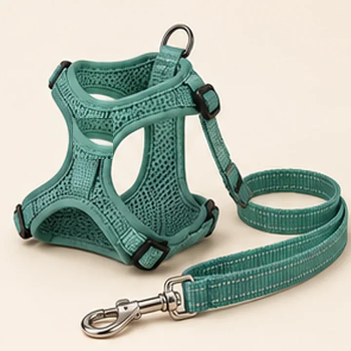 Cat Harness & Leash Set