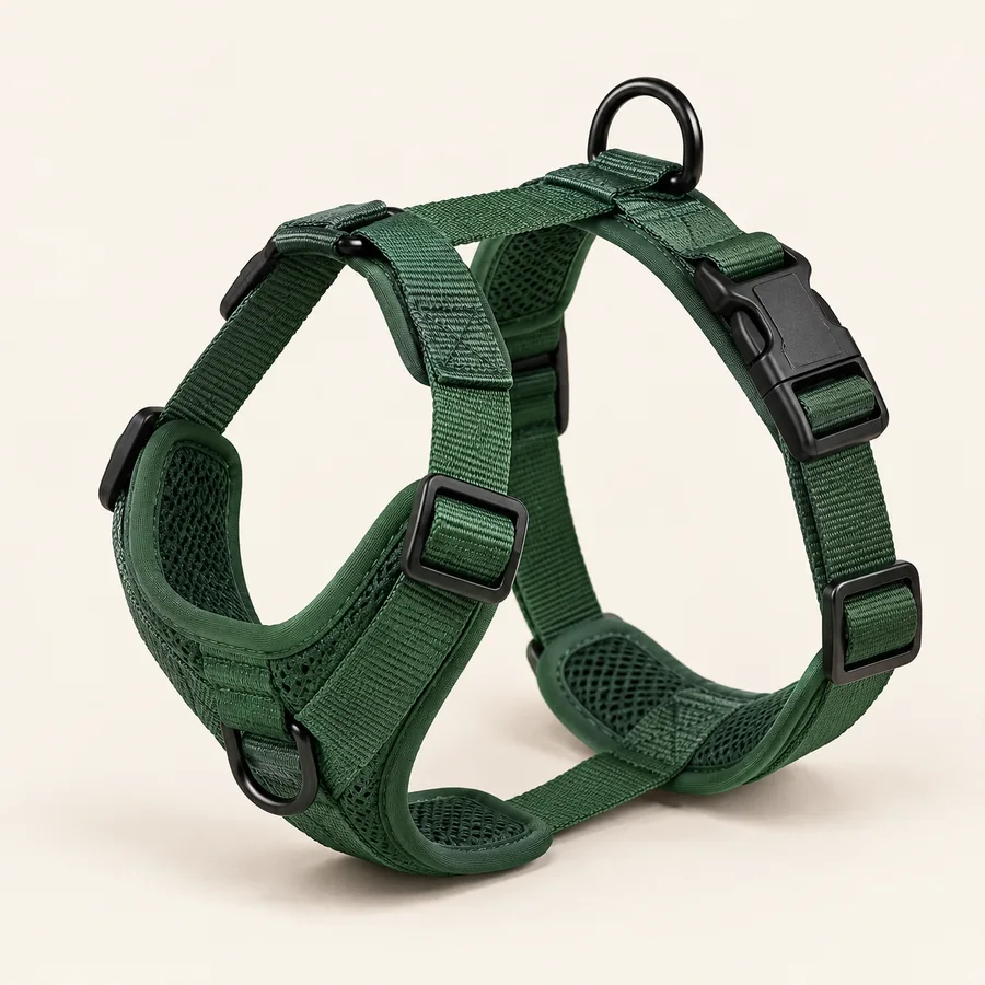 Dog Everyday Harness